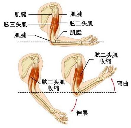 9fee25d5da19fc9e86116d133189fb6c_720w.jpg 9fee25d5da19fc9e86116d133189fb6c_720w.jpg